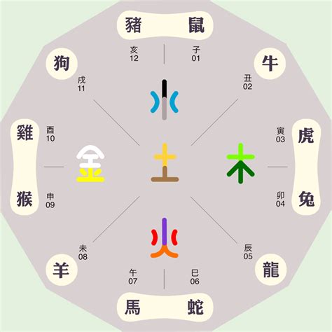 紫字五行|紫字的五行是什么,紫的五行属性及吉利寓意